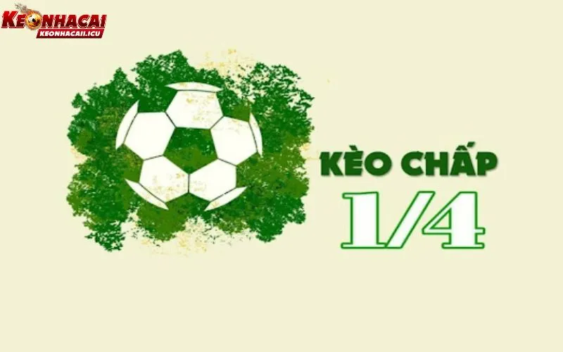 Cách soi kèo 1/4 từ các chuyên gia