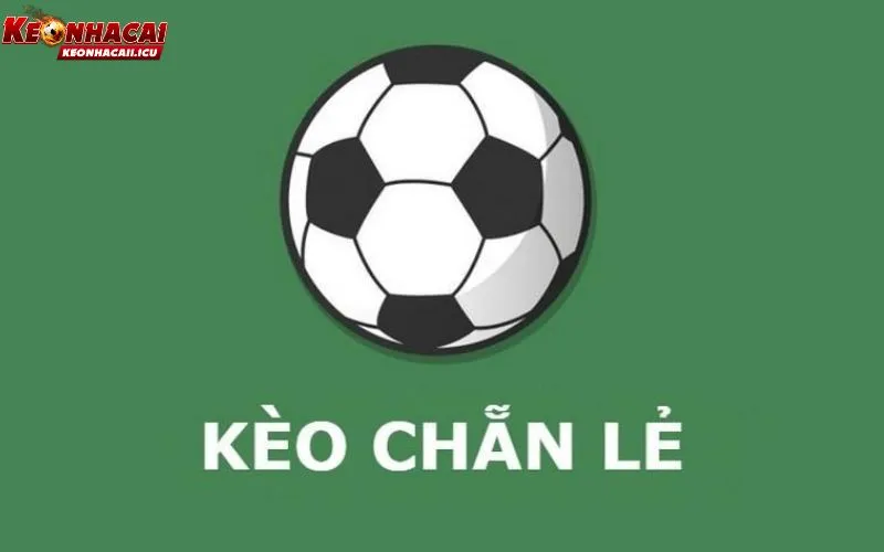 Kèo Chẵn Lẻ Là Gì? Kinh Nghiệm Theo Kèo Cực Dễ Hiểu 1 kèo chẵn lẻ là gì