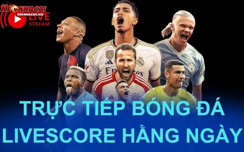 Livescore Trực Tiếp – Theo Dõi Tỷ Số Theo Thời Gian Thực 2 Những thông tin được hiển thị trong chuyên mục Livescore