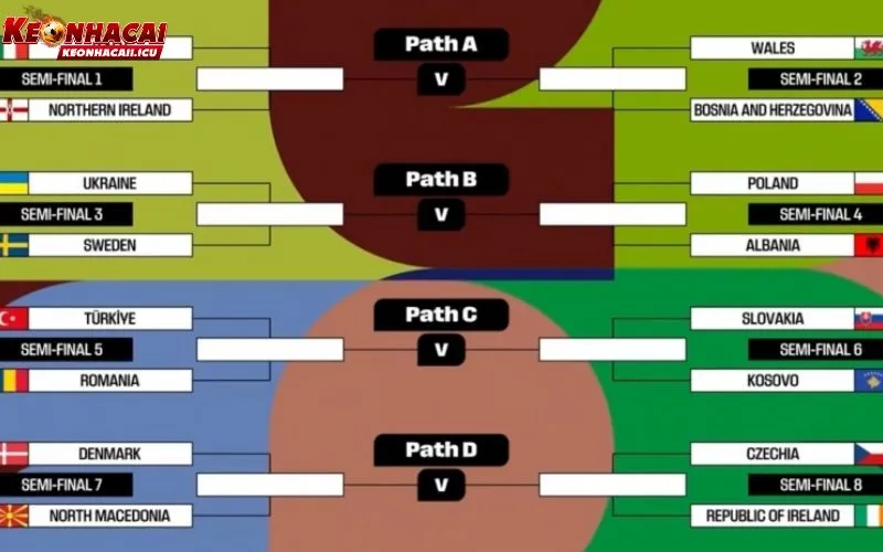 Phân vùng thi đấu tại World Cup