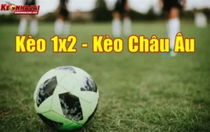 Soi kèo châu Âu