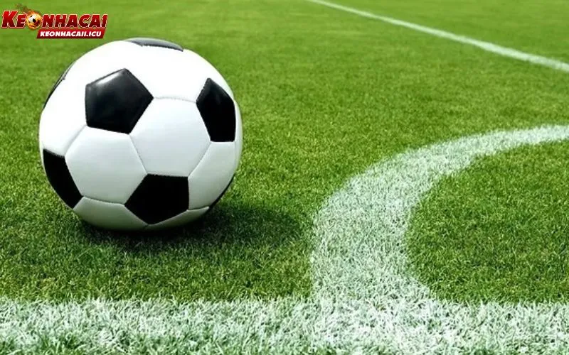 Soi Kèo Châu Mỹ Dễ Hiểu – Cách Phân Tích Odds Âm Dương Chuẩn 1 Soi kèo châu Mỹ