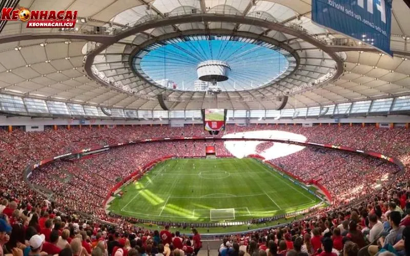 Thông tin chi tiết về nơi tổ chức World Cup